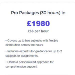 Pro Packages (30 hours) in