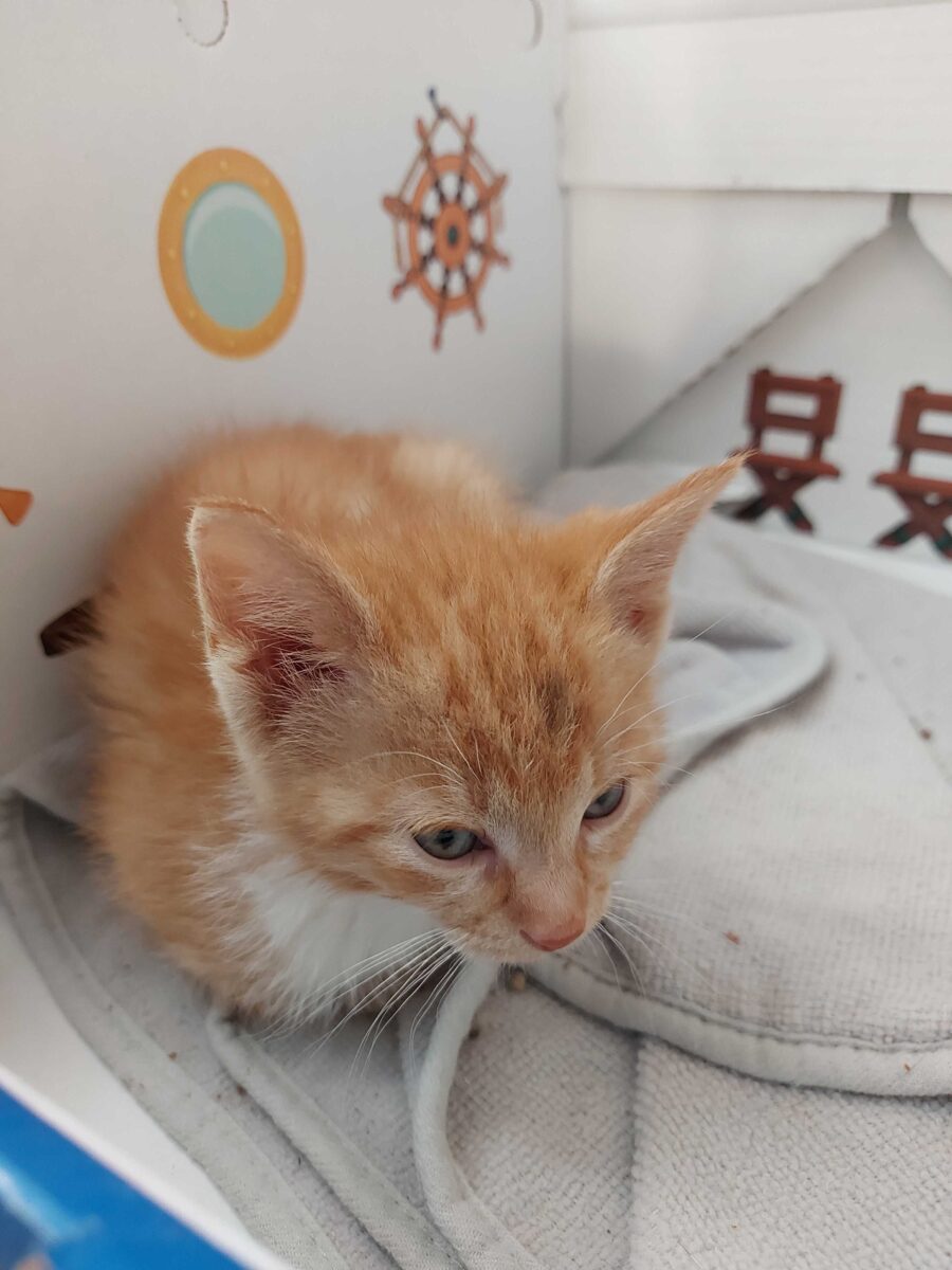 Chloe Profile Picture