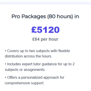 Pro Packages (80 hours) in