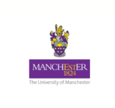 Screenshot 2025-12-24 045745