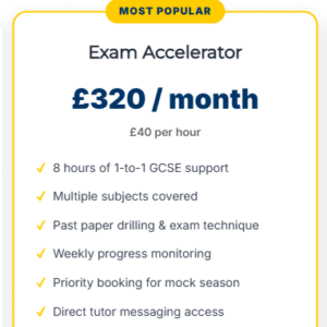 Exam Accelerator £320 / month  £40 per hour