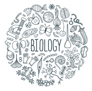 Biology Paper 2 Topics: Complete Guide to Syllabus, Revision & Past Papers