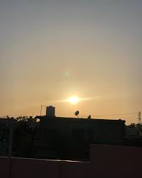 Emily's Profile Picture