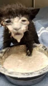 Isabella's Profile Picture